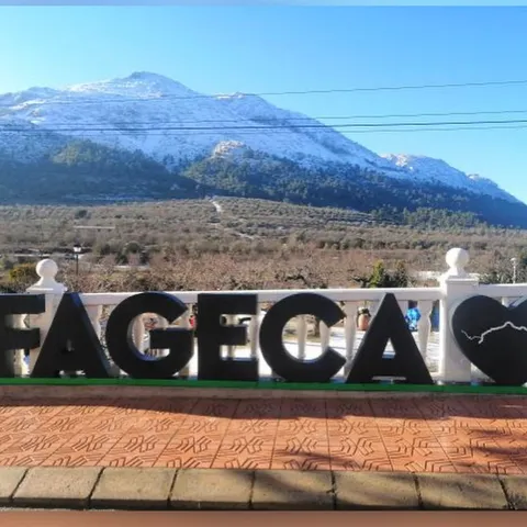 Fageca nieve